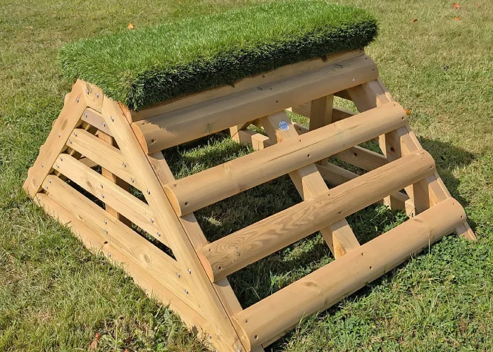Side view of the Apex Ladder Climb & Grass